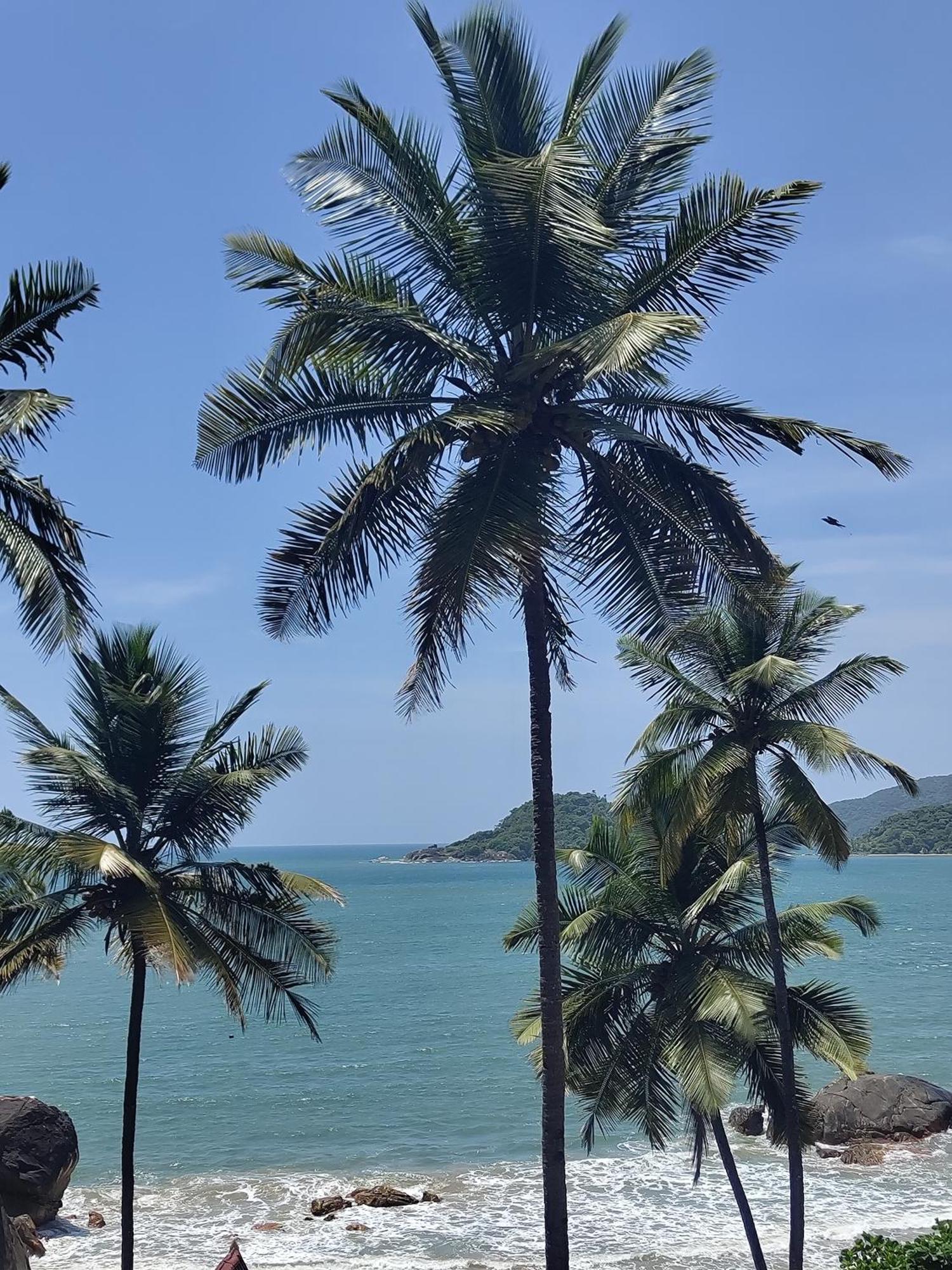 Отель Hilltop Seaview Palolem Goa Экстерьер фото