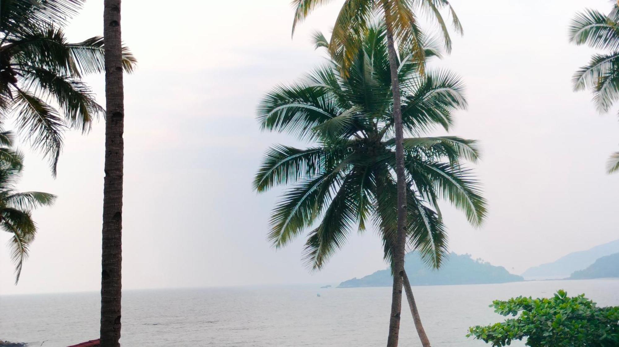 Отель Hilltop Seaview Palolem Goa Номер фото